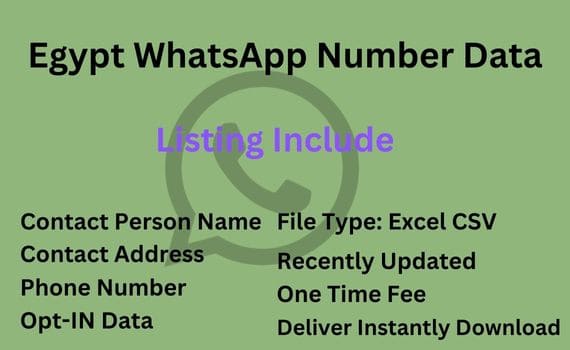 埃及 WhatsApp 号码数据库